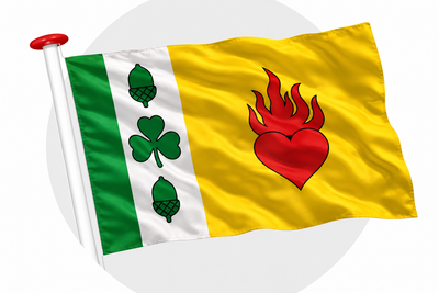 Vlag Augustinusga (Stynsgea) wapperend aan witte vlaggenstok