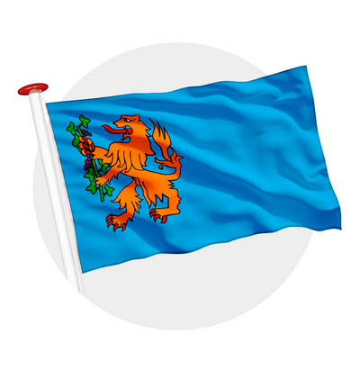 vlag Brummen