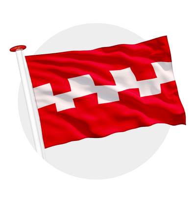 vlag Buren