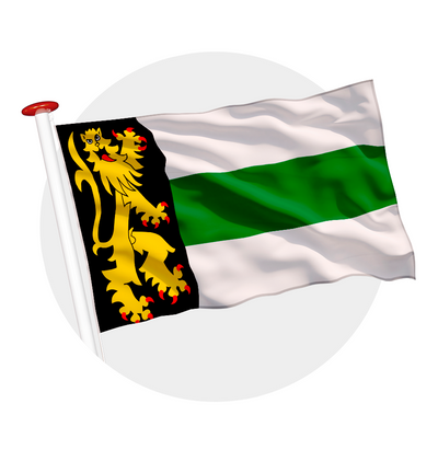 vlag Druten