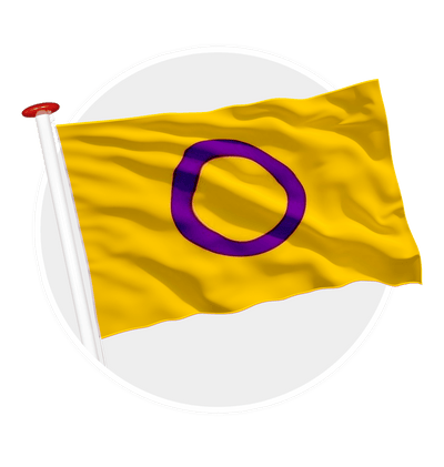 Intersekse vlag