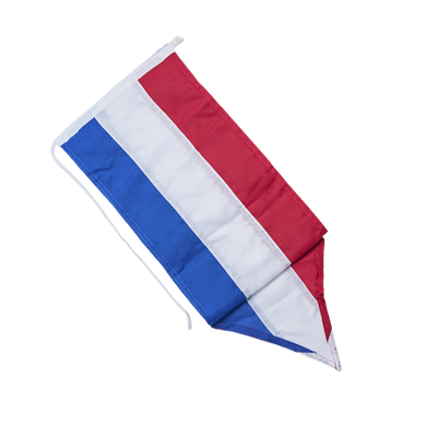 Nederlandse fluisterwimpel