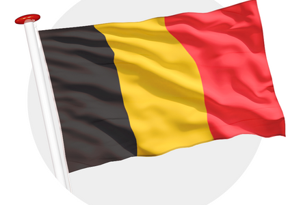 Vlag van België bij advies over betekenis en geschiedenis