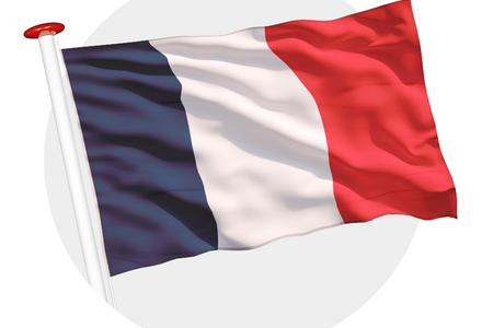 Vlag van Frankrijk bij advies over betekenis en geschiedenis