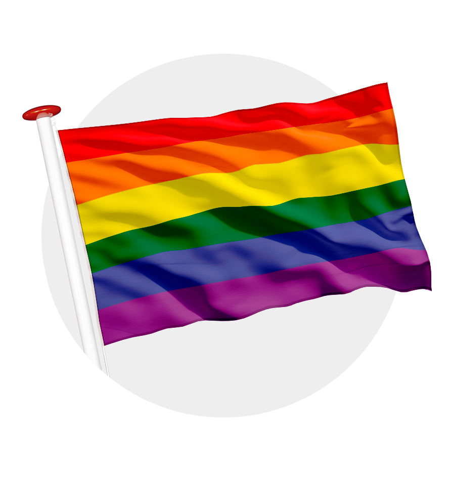 Pride vlaggen