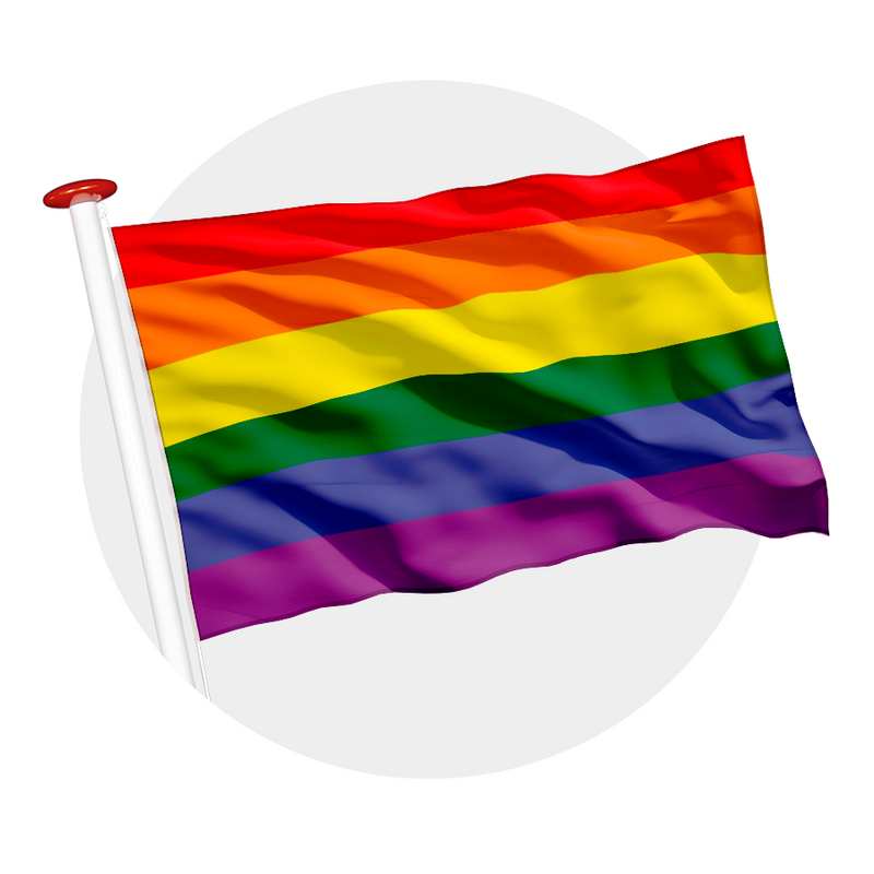 Regenboogvlag Gay Pride LGBT Vlag Pride In Every Color regenboogvlag-gay-pride-lgbt-vlag-pride-in-every-color