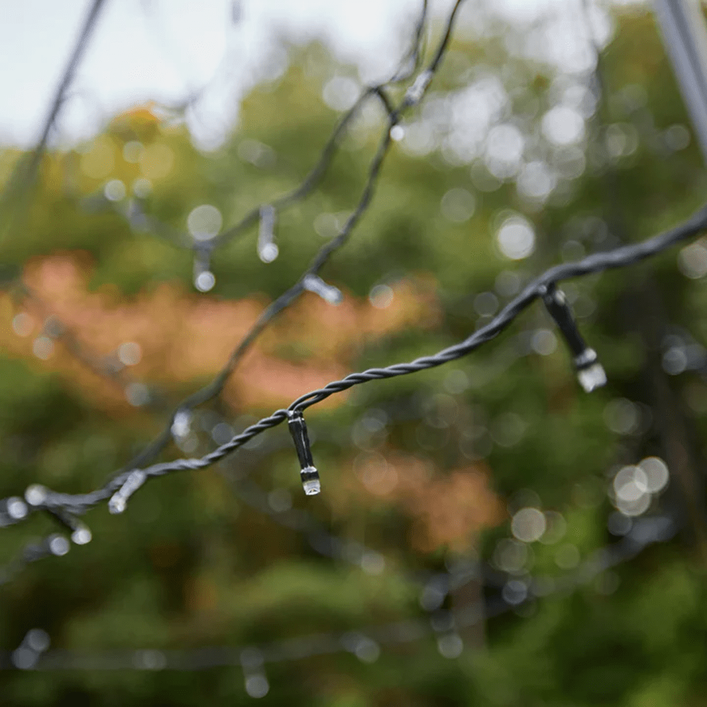 Fairybell sfeer overdag
