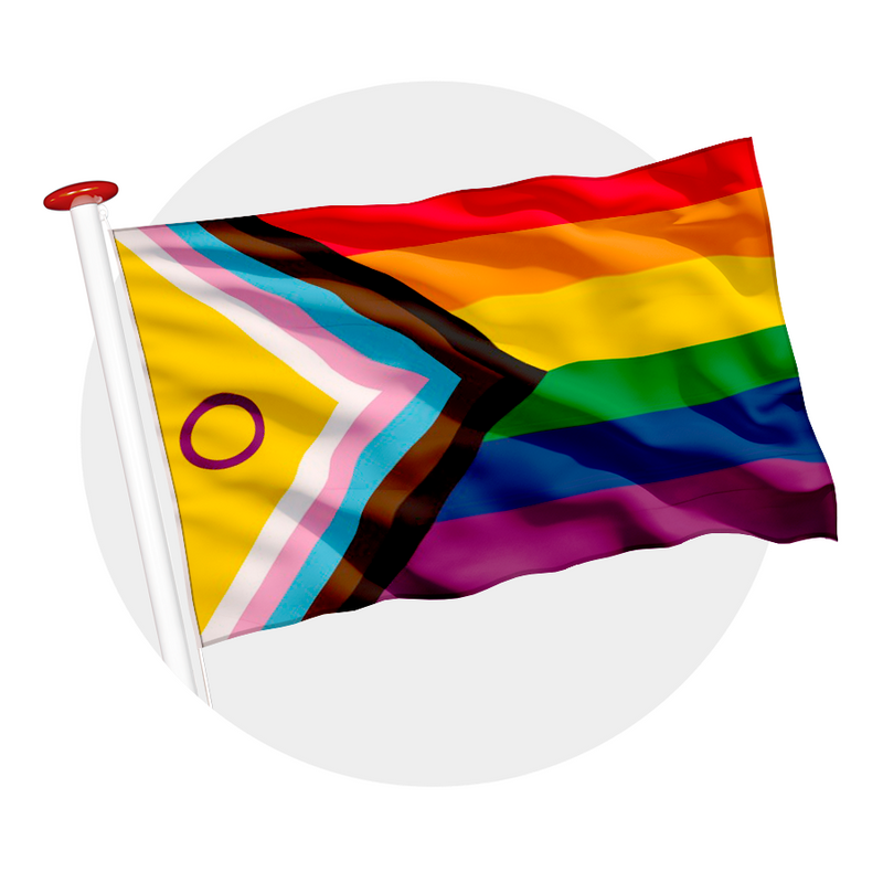 Vlag Intersekse Progress