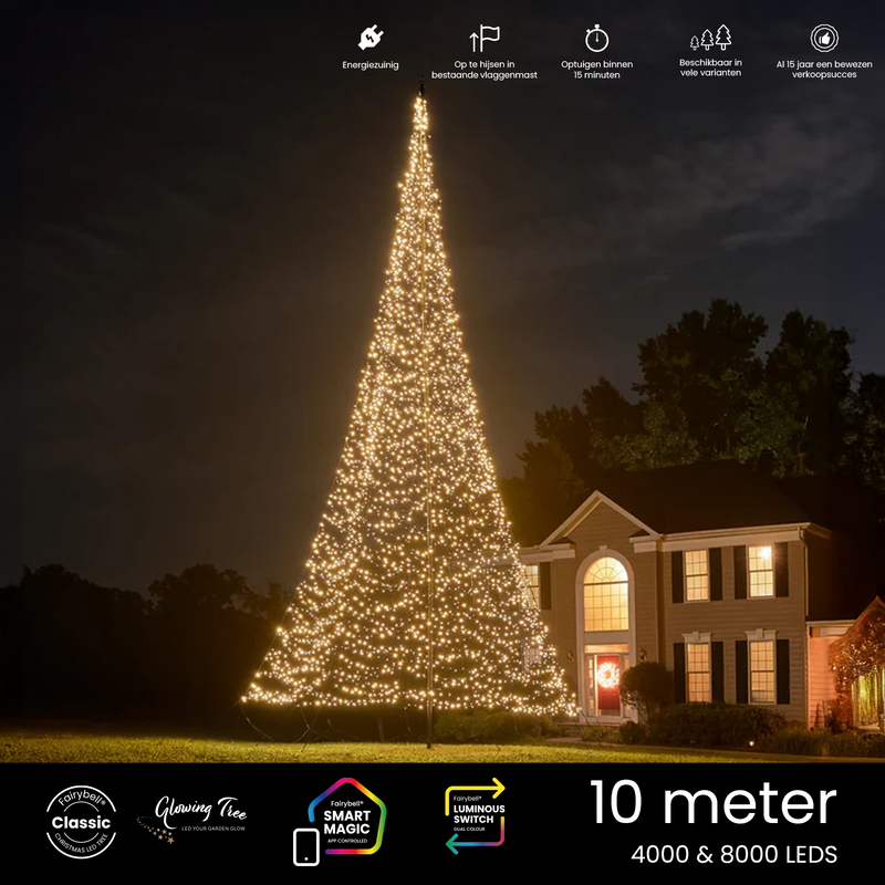Vlaggenmast kerstverlichting 10 meter
