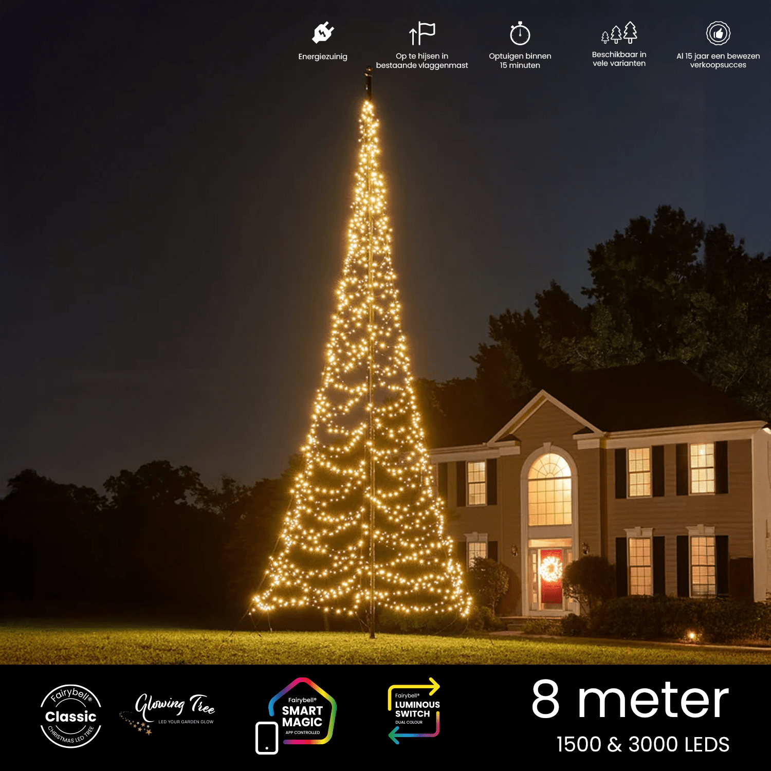 Vlaggenmast kerstverlichting 8 meter