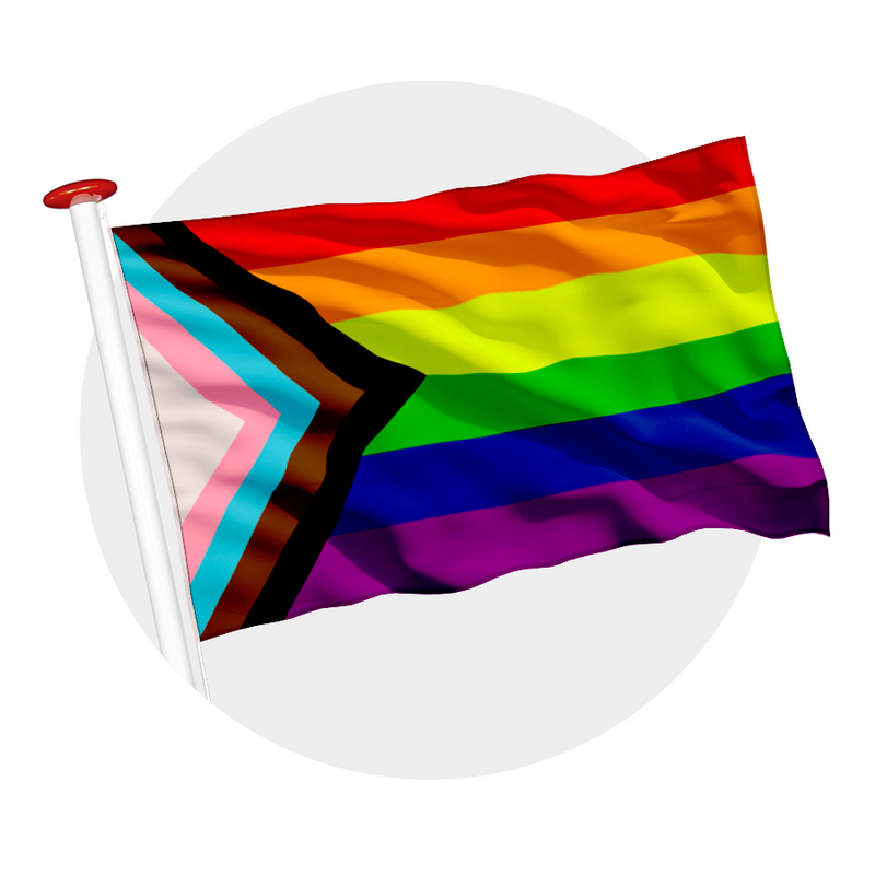 Progress Pride vlag