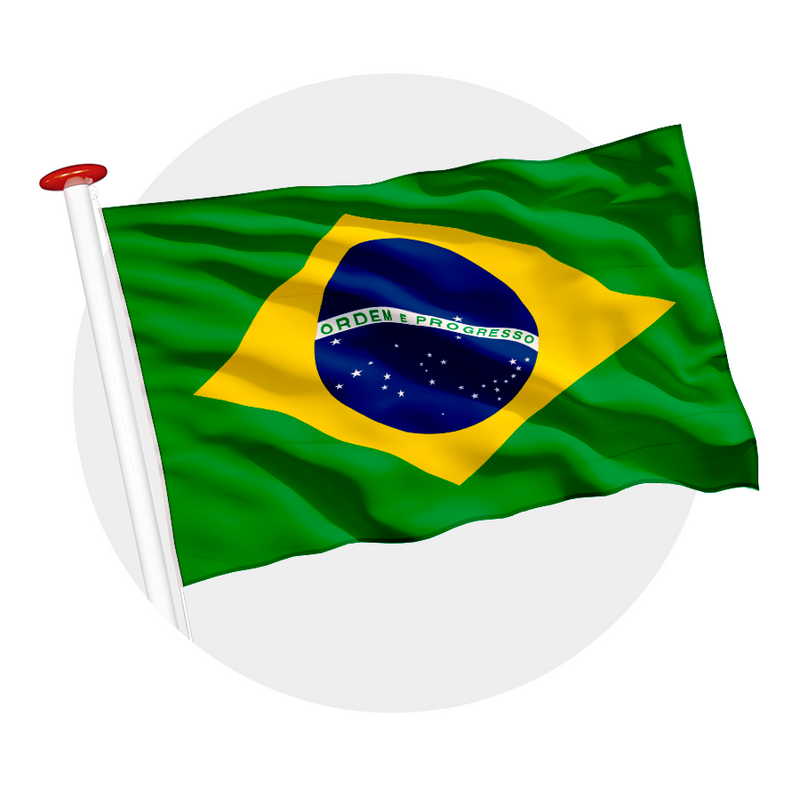 Vlag Brazilië