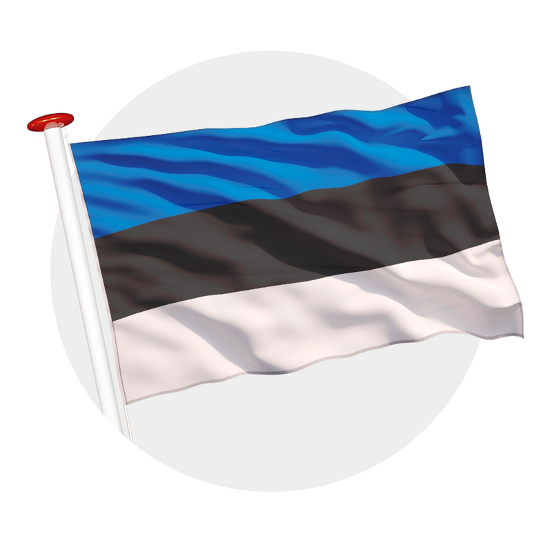 Vlag Estland
