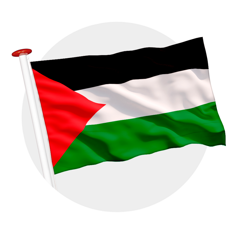 Vlag Palestina