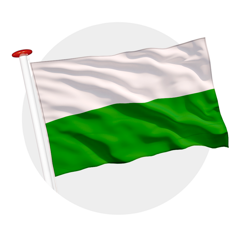 Vlag Aalten