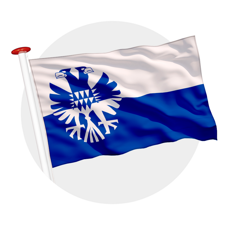 Vlag Arnhem