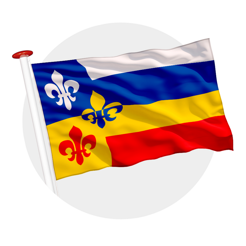 Vlag Bergeijk