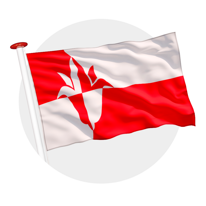 Vlag Bernheze