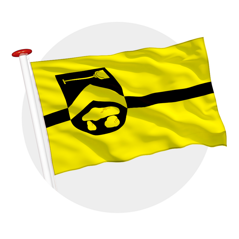 Vlag Borger-Odoorn