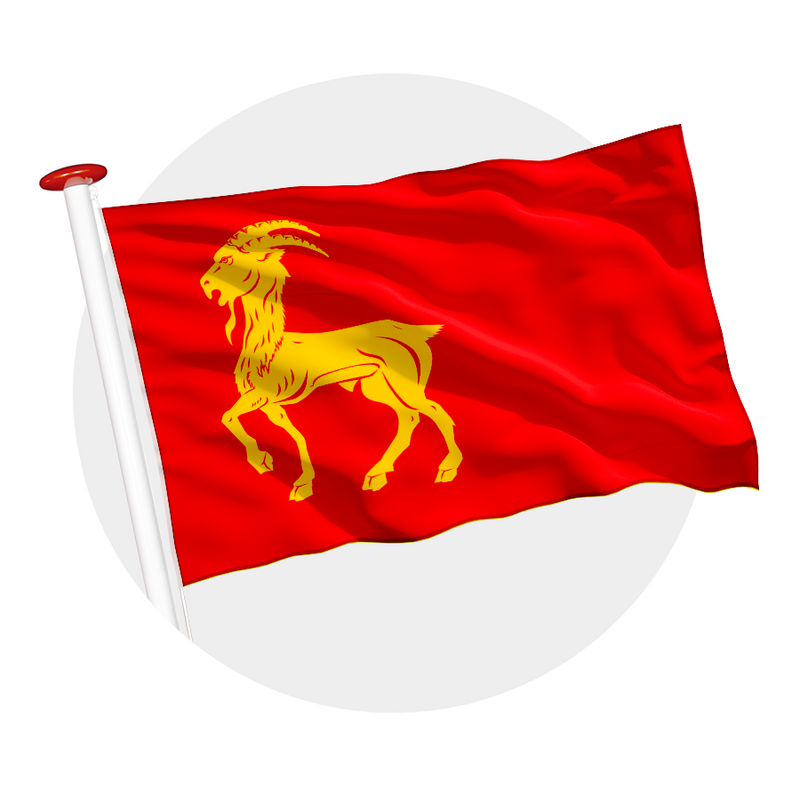 Vlag Boxmeer