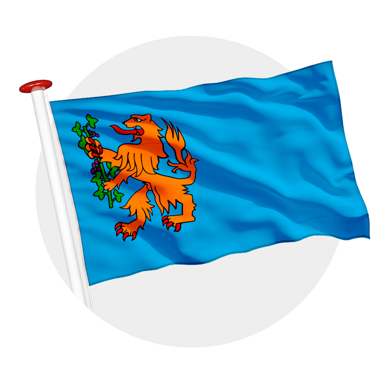 Vlag Brummen