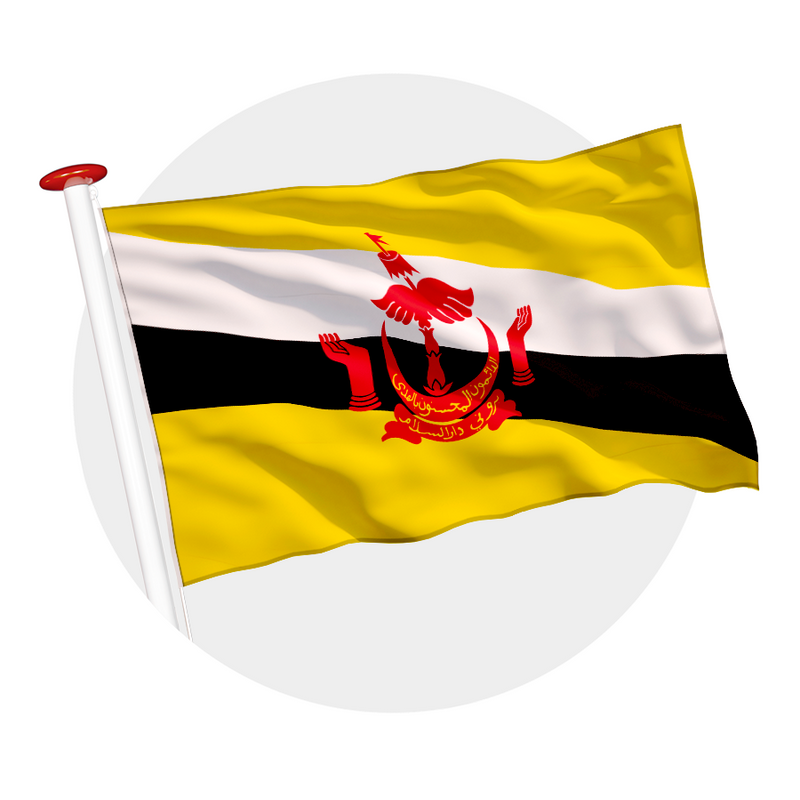 Vlag Brunei