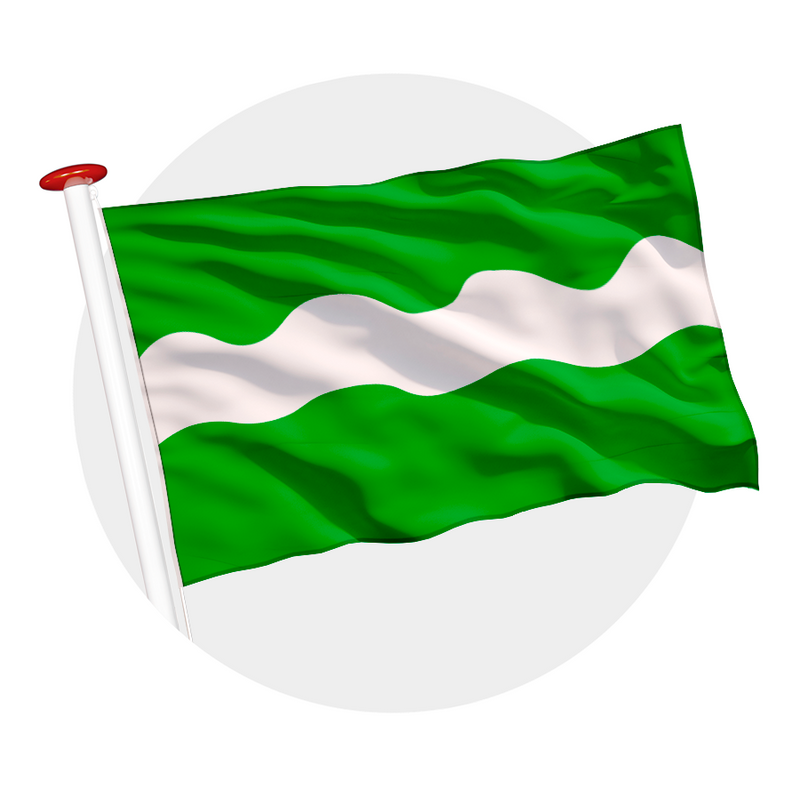 Vlag Bunnik