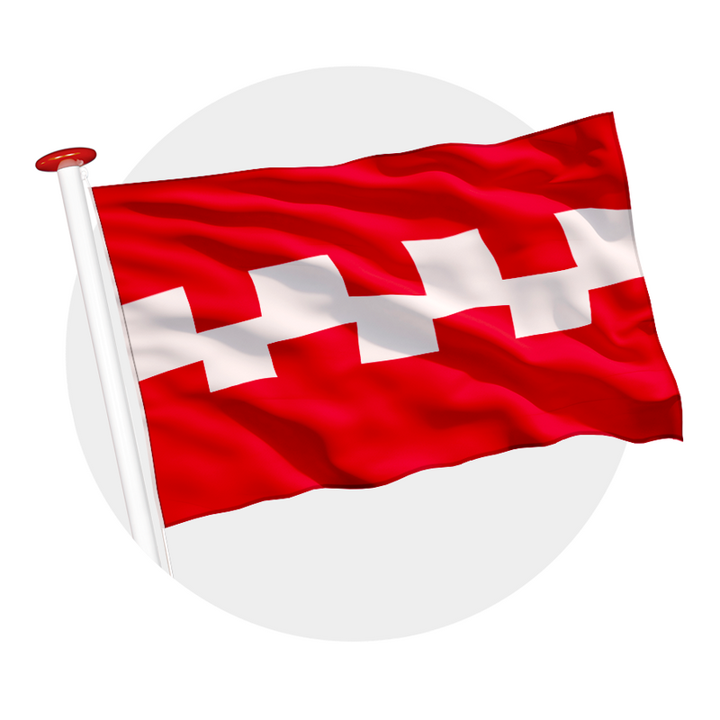 Vlag Buren