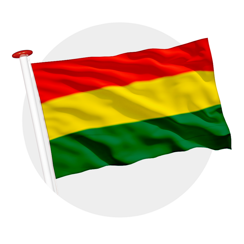 vlag Carnaval