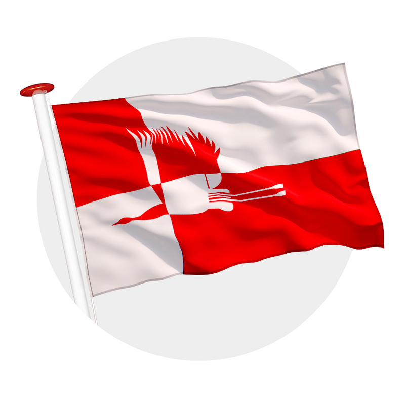 Vlag Cranendonck