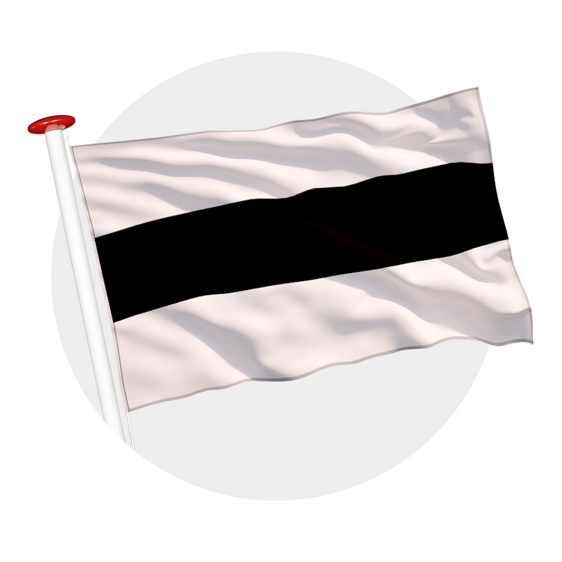 Vlag Delft