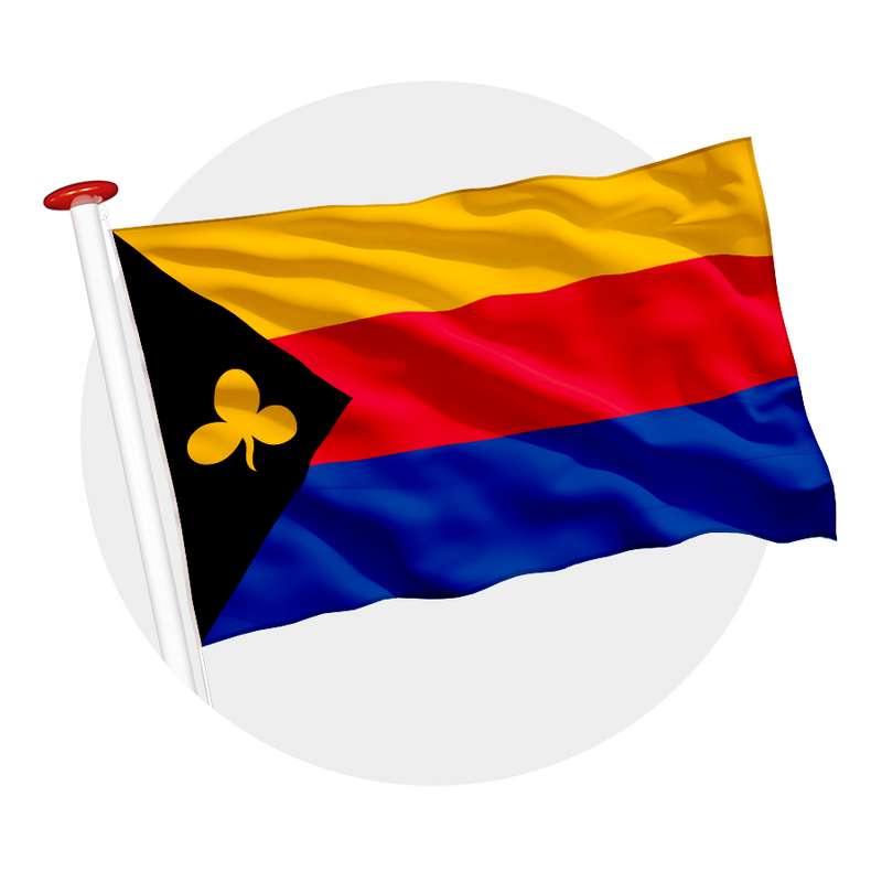 Vlag Delfzijl