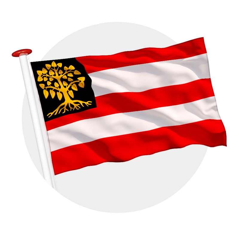 Vlag 's-Hertogenbosch