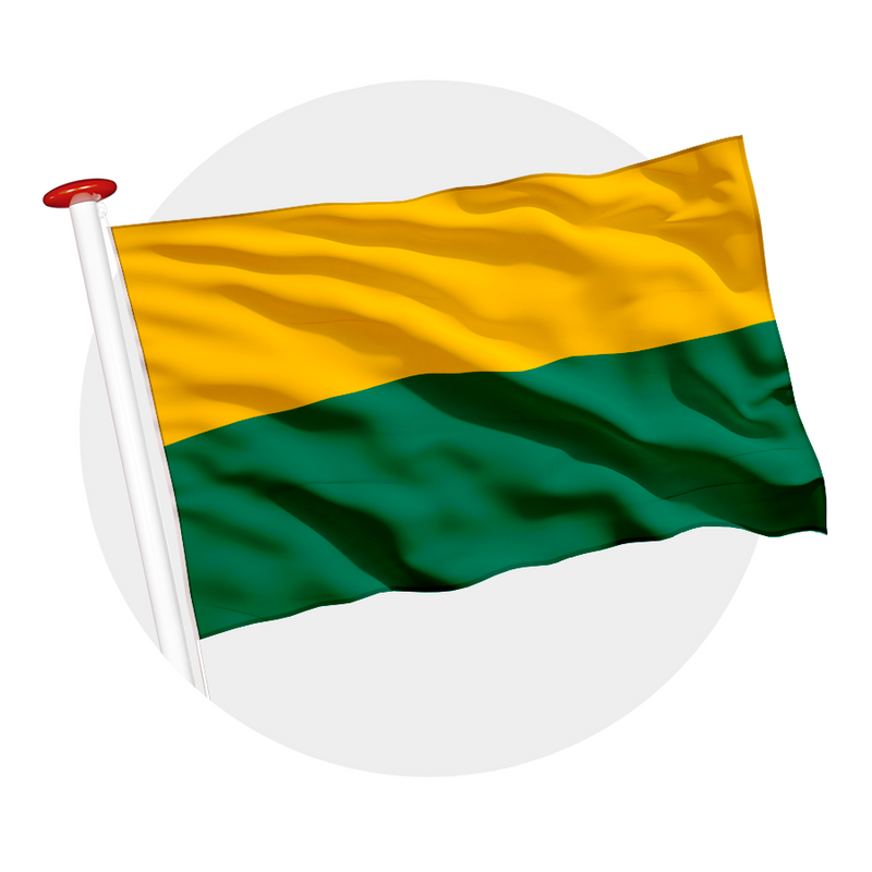 Vlag Den Haag