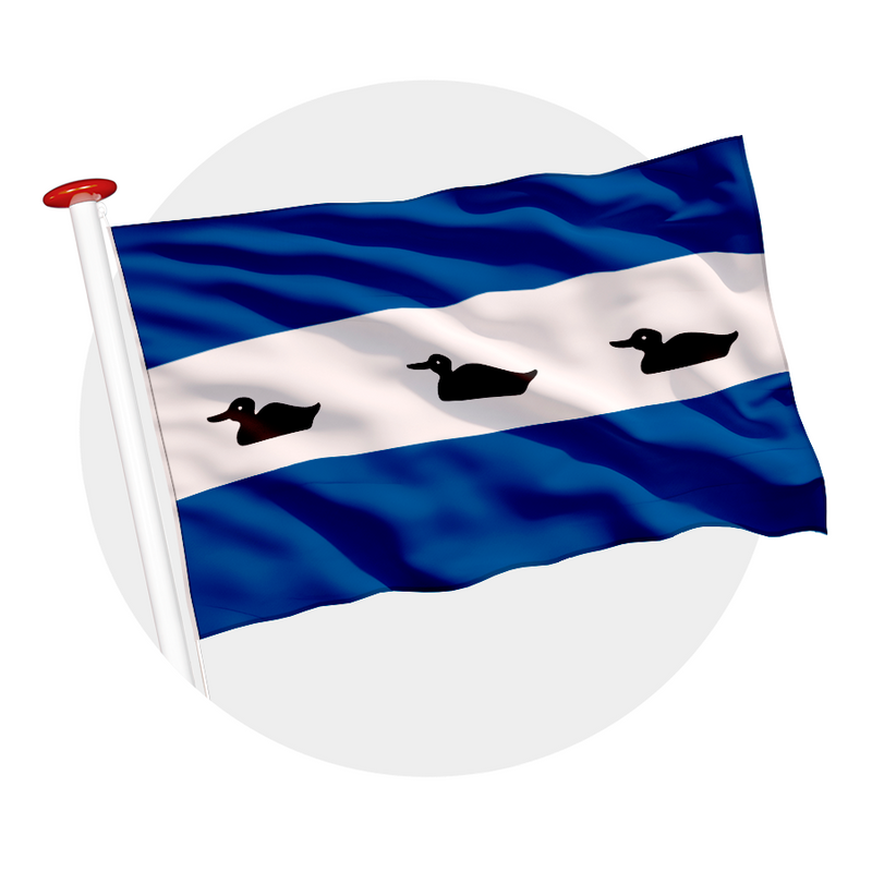 Vlag Diemen