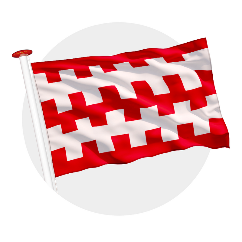 Vlag Dongen