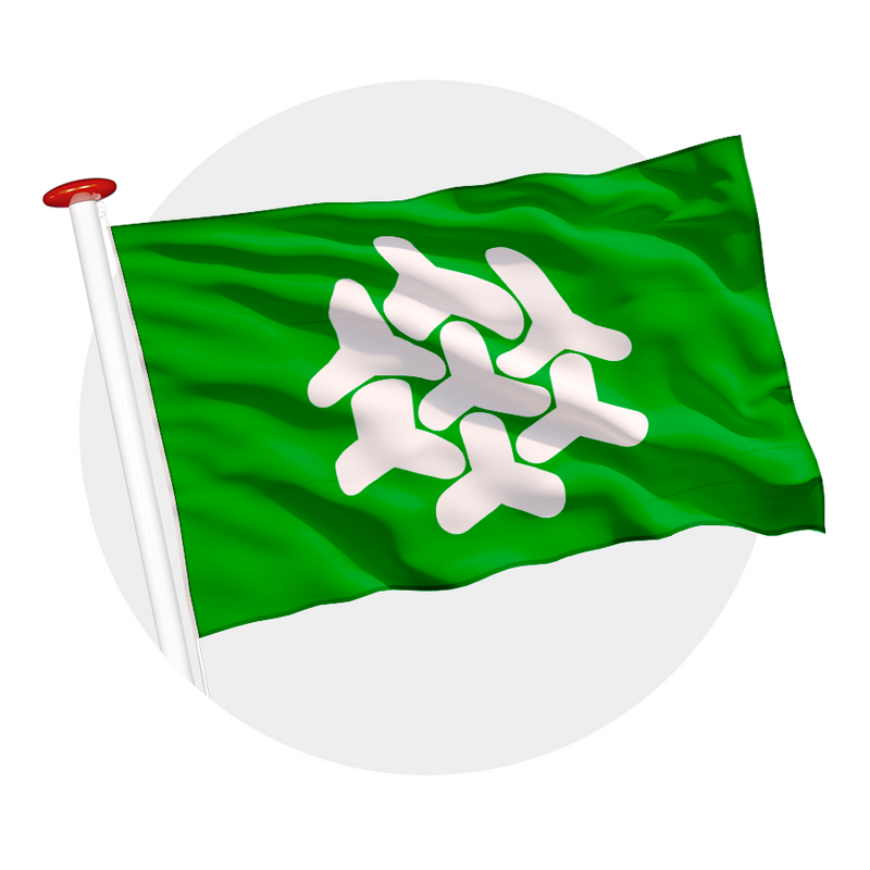 Vlag Dronten