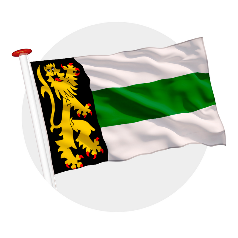 Vlag Druten
