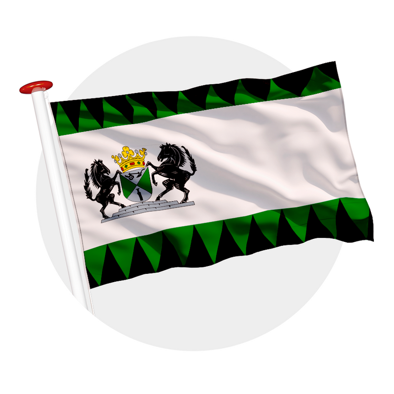 Vlag Emmen
