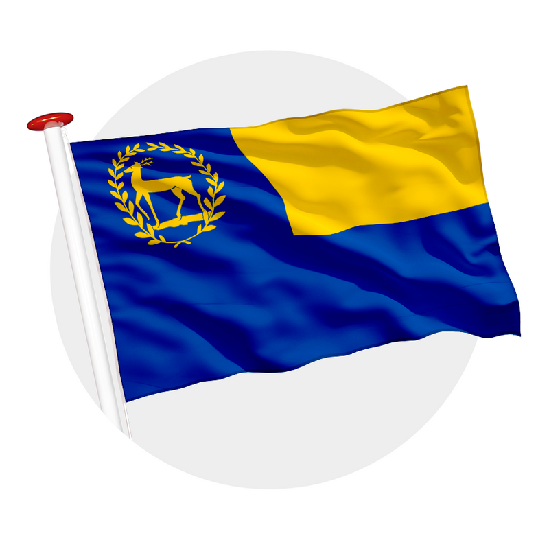 Vlag Epe