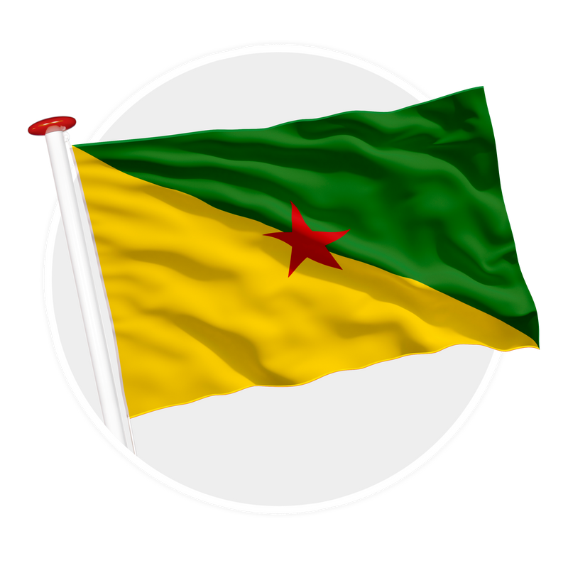 vlag Frans-Guyana