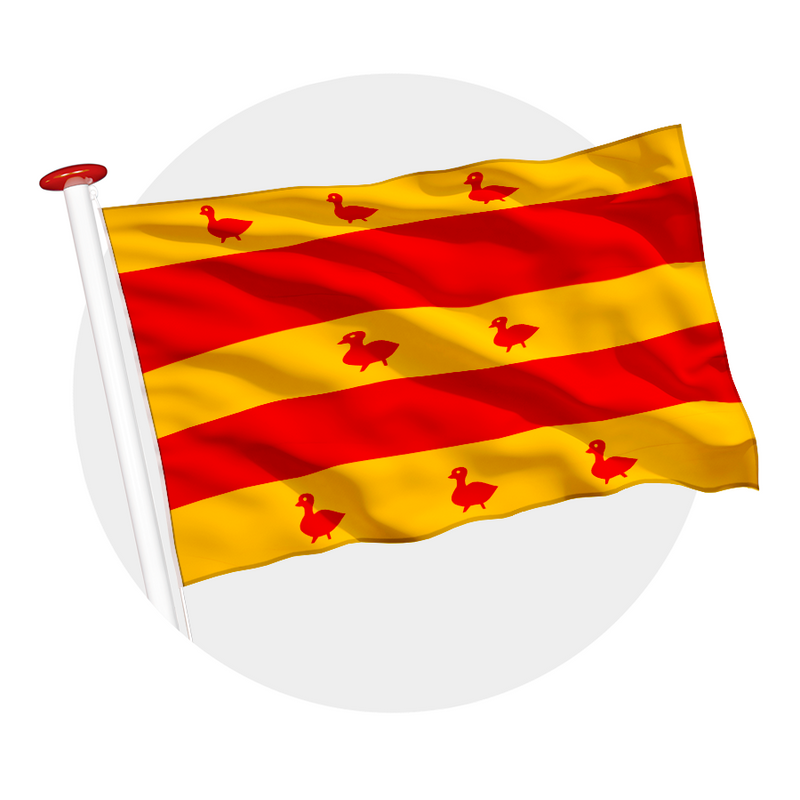 Vlag Grave