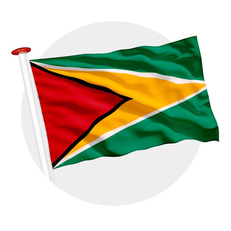 Vlag Guyana