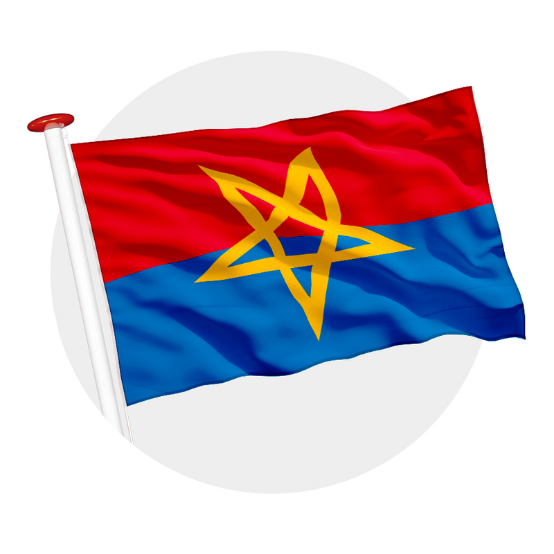 Vlag Haaksbergen