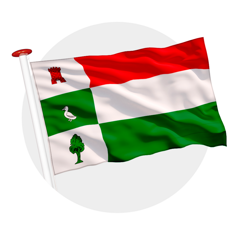 Vlag Halderberge