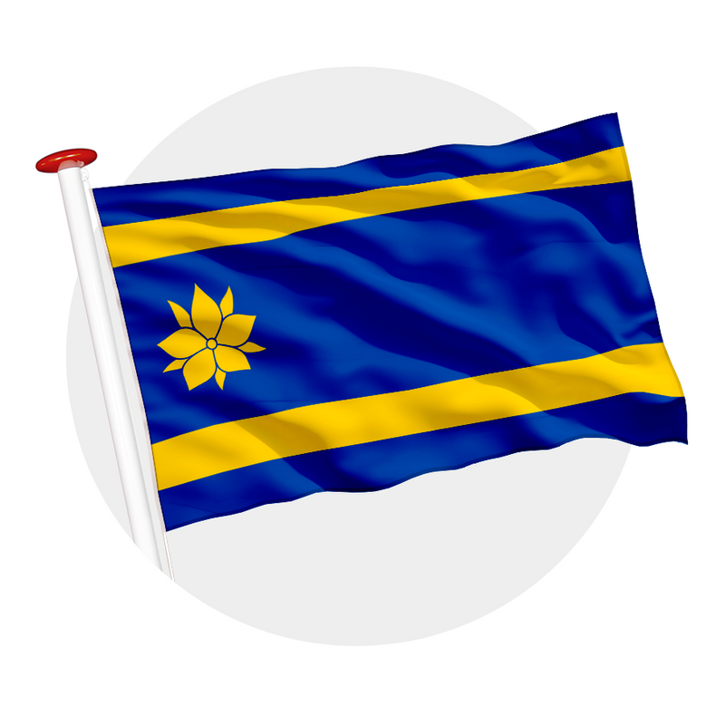 Vlag Hattem