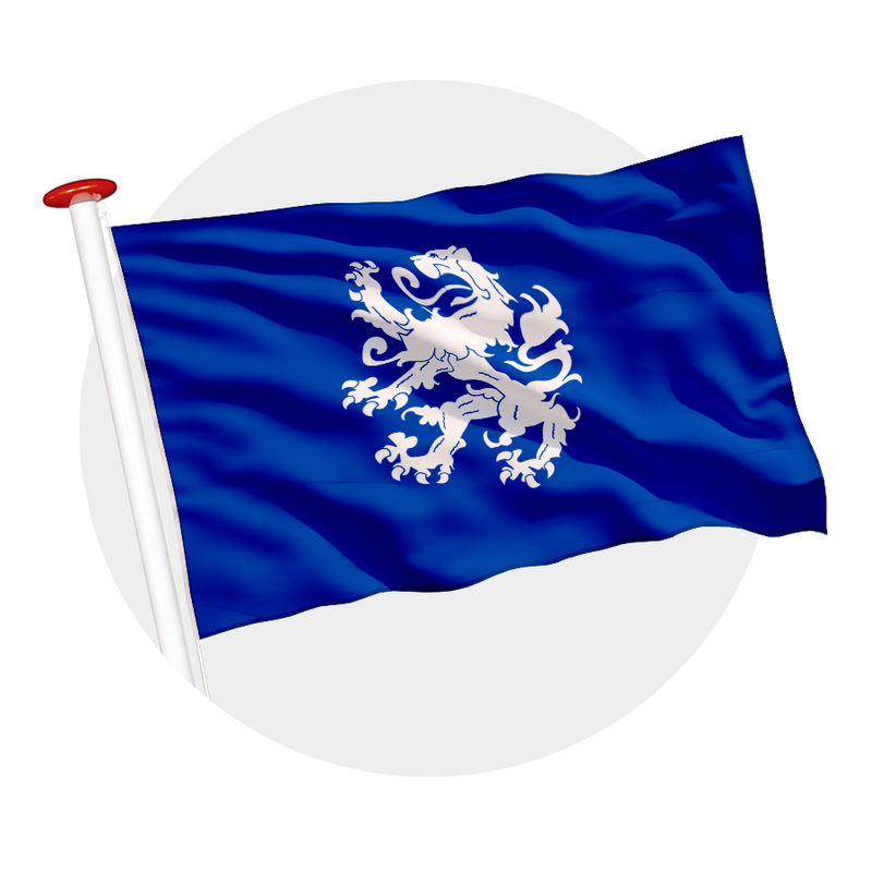 Vlag Heemskerk