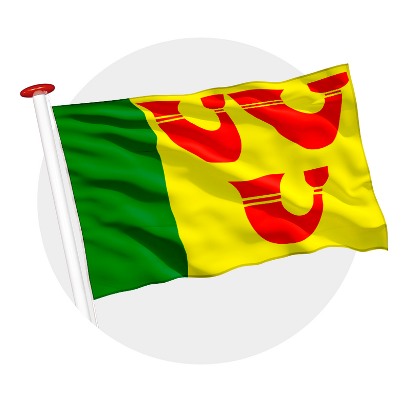 Vlag Heeze-Leende