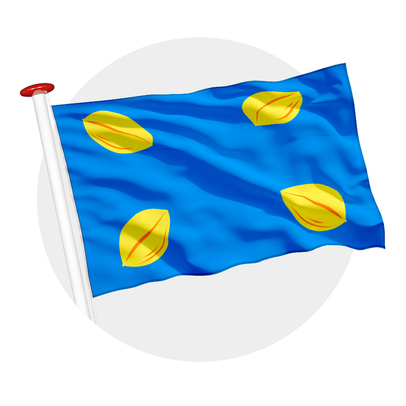 Vlag Hilversum