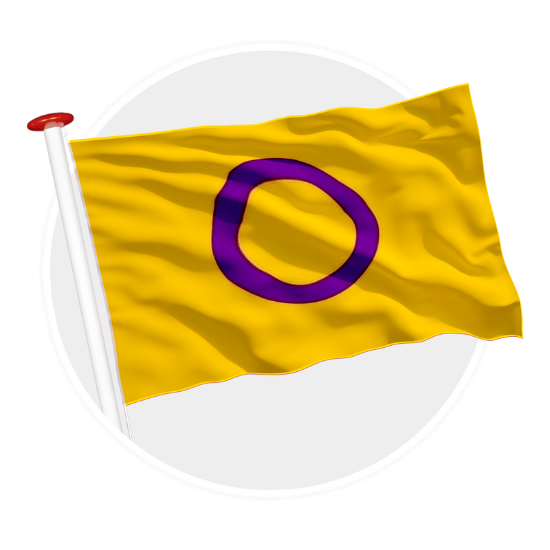 Intersekse vlag